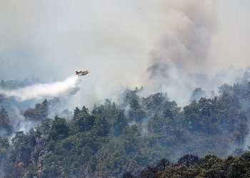 Büyükşehir Belediyesi yangın bölgesinde taşınabilir aşevi kurdu