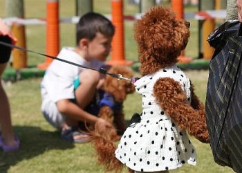 Çeşmeli can dostlar Fest Pati’de buluştu