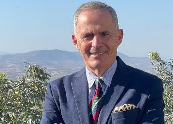 Ceviz Üreticileri Derneği: Yerli cevizde randımanı artırmak için iş birliği çok kıymetli