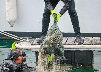 D-Marin tüm marinalarında Etraf Farkındalık Günlerini kutladı