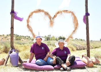 Didim’in Mis Kokulu Lavanta Şenliğine sayılı günler kaldı