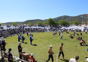 Edremit’te 500 pehlivan kol bağlayacak