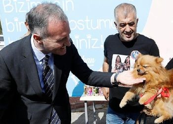 İnegöl Belediyesi 6 Ayda 2.700 Hayvana Şifa Oldu