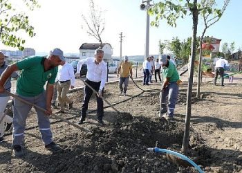 İnegöl’de 600. Fidan 15 Temmuz Şehitleri Anısına Dikildi