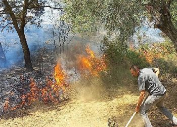 İzmir Kınık’taki yangında Devlet millet el ele verdi