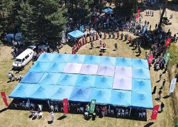 İznik Maviyemiş Şenliği’ne ağır ilgi