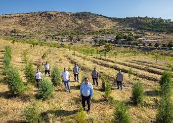 “Karşıyaka Kent Ormanı” geleceğe nefes olacak