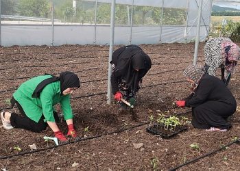 Kocaeli Büyükşehir’den bayan girişimcilere ziraî dayanak