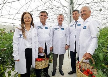 Kocaeli’de topraksız tarımla zerzevat ve meyve yetiştiriliyor