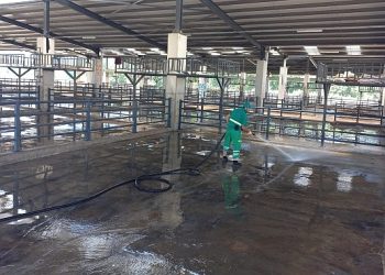 Kurban satış yerleri kaldırıldı