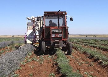 Lider Altay: “Şehrimizin Kalkınmasına Katkı Sağlayan Çiftçimizin Yanında Olmaya Devam Edeceğiz”