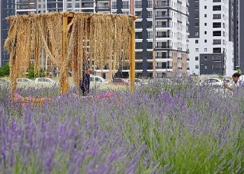 Lider Altınok fotoğrafçıları Lavanta ve Gül bahçesine davet etti 