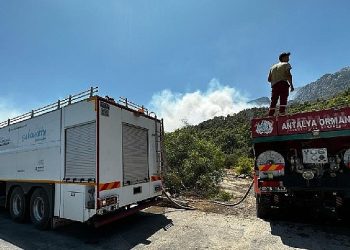 Lider Böcek Tekrar ciğerimiz yanıyor