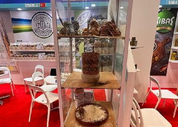 Lider Soyer: İzmirli eserleri dünya pazarında yerini alacak