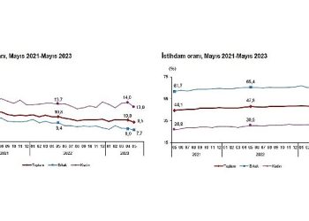 Mevsim tesirinden arındırılmış işsizlik oranı yüzde 9,5 düzeyinde gerçekleşti