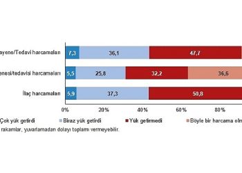 Muayene ve tedavi harcamaları hanelerin yüzde 7,3’üne çok yük getirdi