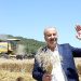 Mudanya’da buğday hasadı zamanı