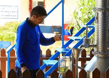 Muğla Büyükşehir Distilasyon Tesisi Muğla’nın Aromatik Bitkileri’ni İşliyor