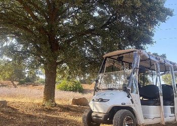 Olivelo Yaşayan Park’ta safari tipleri yarın başlıyor