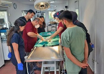 Osmangazi Belediyesi’nden Veteriner Fakültesi öğrencilerine uygulamalı eğitim