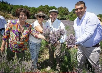 Soyer’den üreticilere lavanta sürece tesisi muştusu