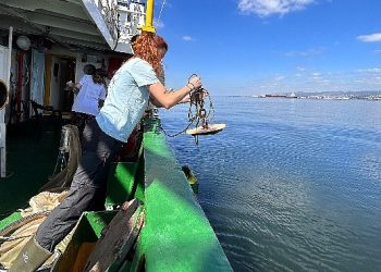 Taban çamurunun biyoçeşitliliğe tesiri araştırılıyor