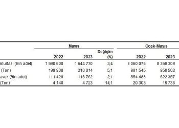 Tavuk eti üretimi 210 bin 14 ton, tavuk yumurtası üretimi 1,64 milyar adet olarak gerçekleşti