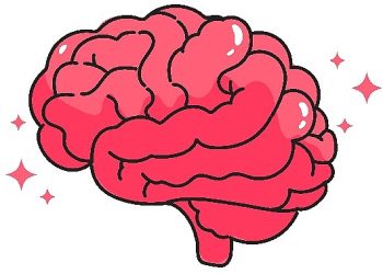 Uygun korunmuş sağlıklı bir beyefendisine muhtaçlığımız var