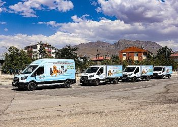 Van sahipsiz hayvanlar bilrliği sokak hayvanlarına hayat veriyor 