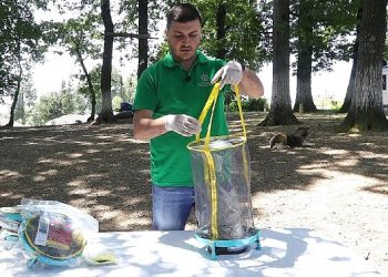 Vektör uğraşında karasinek tuzağı