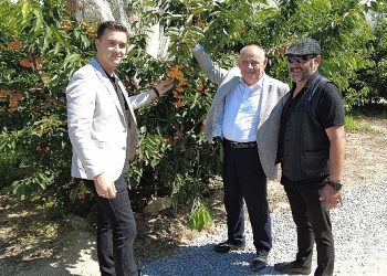 Yahyalı’dan Dünya’nın bir çok bölgesine kiraz ihracatı yapılıyor