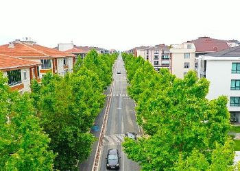 “Yıllar evvel dikilen ağaçlar yeşil koridor oluşturdu”