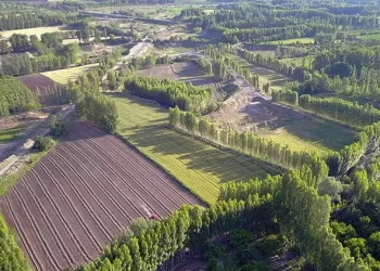 Hazine arazisinden 22 milyar lira gelir elde edildi