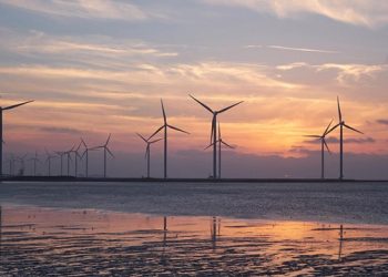 Türkiye’den deniz üstü rüzgâr enerjisi atılımı