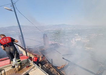 Aydın Büyükşehir Belediyesi İtfaiyesi’nden Bozdoğan’daki yangına müdahale