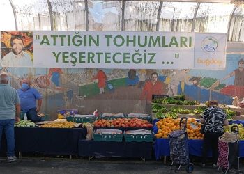 Buğday Derneği: Kayseri’de Sağlıklı Besinin Adresi: Kocasinan %100 Ekolojik Pazar