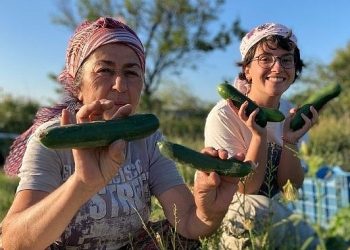 Buğday Derneği; Soframıza gelen zehirlerden 6’sı daha yasaklandı