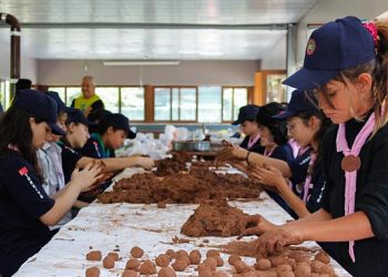 Depremzede izci öğrencilerden 81 vilayetimize tohum topu armağanı