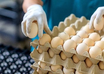 EİB’den Temmuz ayında 1 milyar 462 milyon dolarlık ihracat