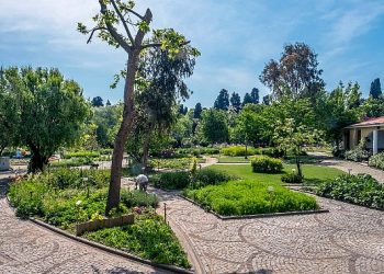 İstanbul’un Ortasında Şifa Dolu Bir Bahçe…