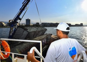 İzmir Körfez’ine ekolojik dokunuş