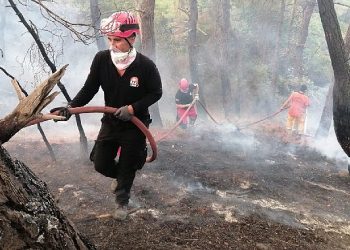 Kadıköy Belediyesi grupları Çanakkale’deki yangında soğutma çalışmalarına takviye veriyor
