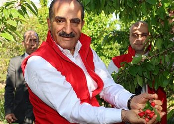 Kirazda rekor yılı: 205 milyon dolara ulaştı