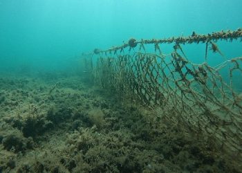 Kocaman’dan Kamader’in projesine takviye