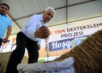 Muğla Büyükşehir Belediyesi Kaba Yem Dayanağı projesi ile piyasa bedeli yaklaşık 3 Milyon TL olan kaba yemi üreticilere dağıtıyor