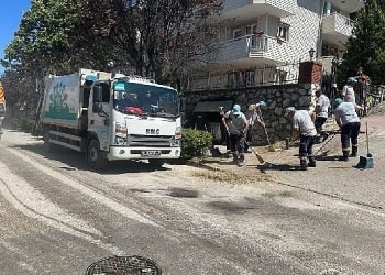 Pak etraf, tertemiz Nilüfer