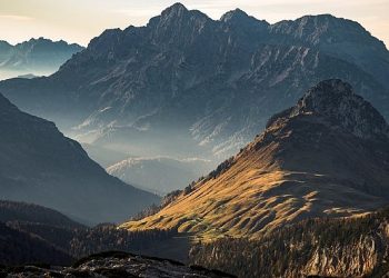 Schneider Electric, Birinci Yarıyıla İlişkin Sürdürülebilirlik Tesiri Sonuçlarını Açıkladı