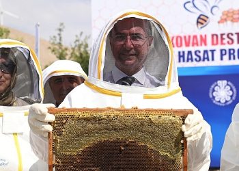 Selçuklu Belediyesi’nin dayanakları ile pilot bölge Eğribayat Mahallesi’nde gerçekleştirilen arıcılık faaliyetleri kapsamında birinci bal hasadı gerçekleştirildi