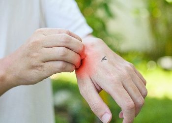 Sivrisinek Isırmasından Sonra Yüksek Ateş Ve Eklemlerde Ağrı Varsa Kesinlikle Hekiminize Danışın