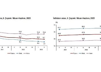 TÜİK: İşgücü İstatistikleri, II. Çeyrek: Nisan – Haziran, 2023
